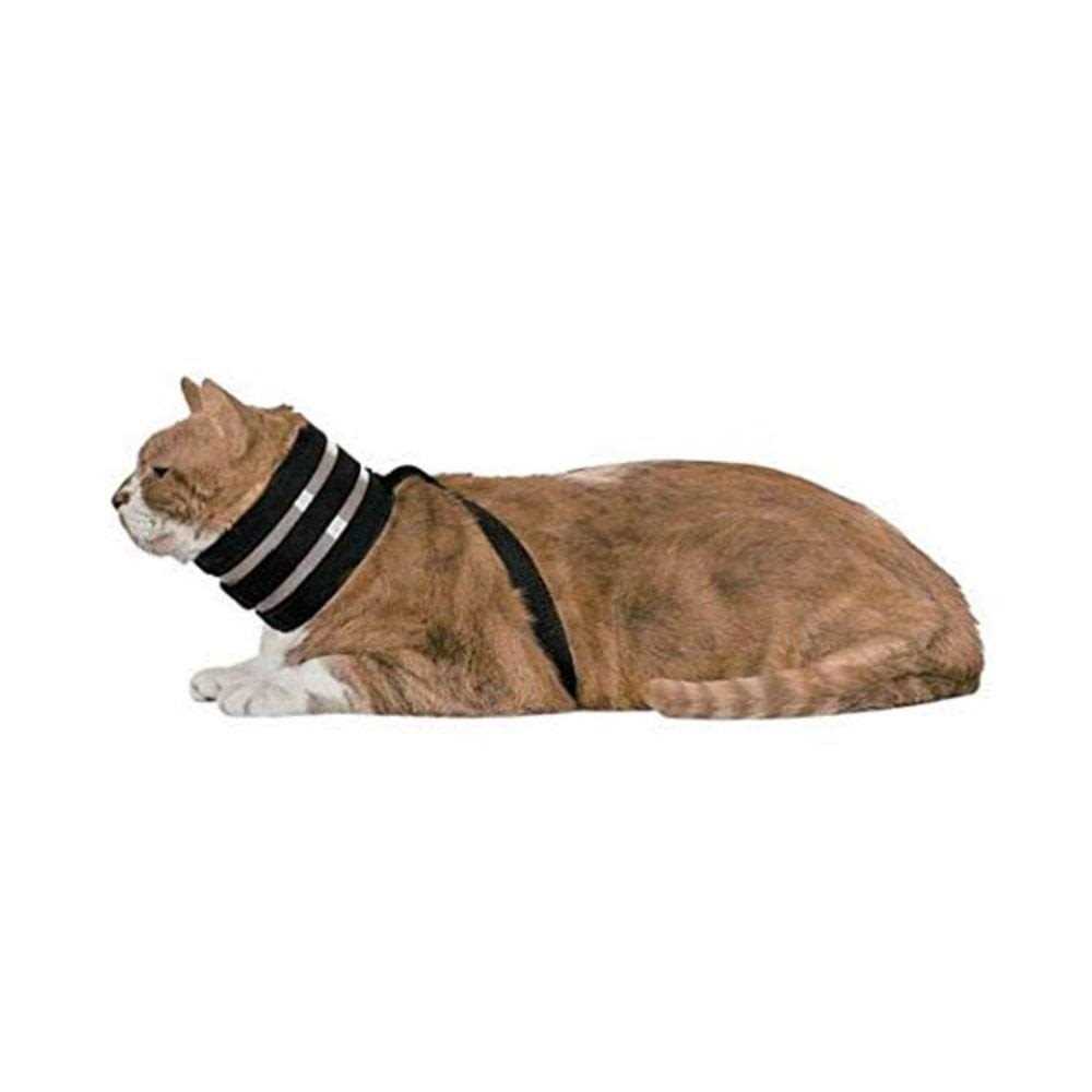 Collar F85105