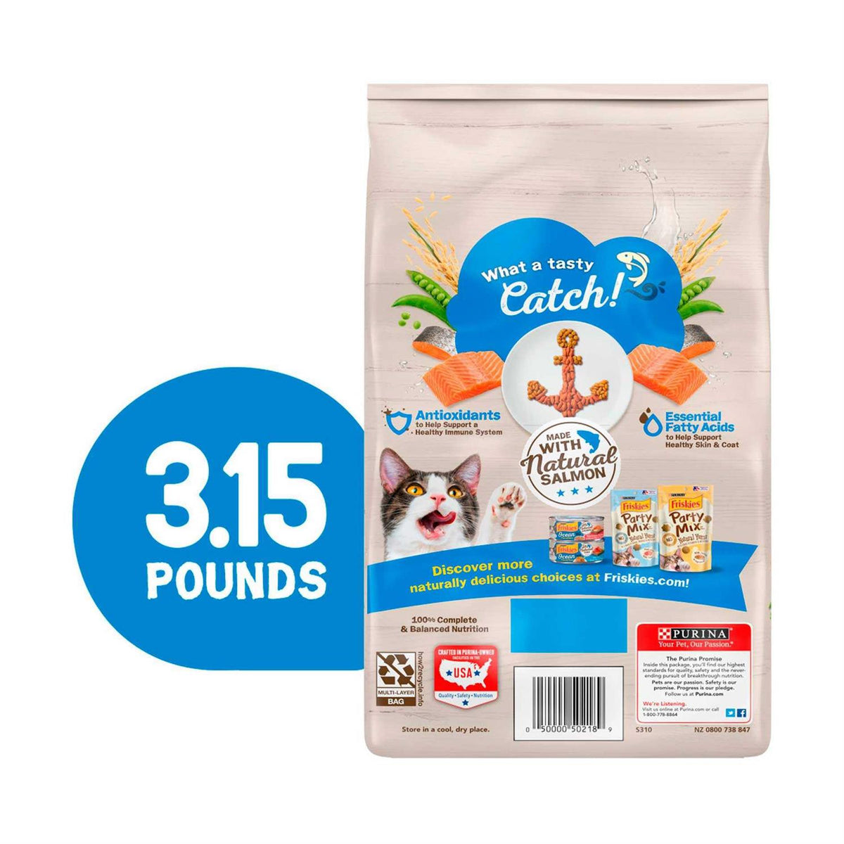Dry Cat Food With Salmon C103704