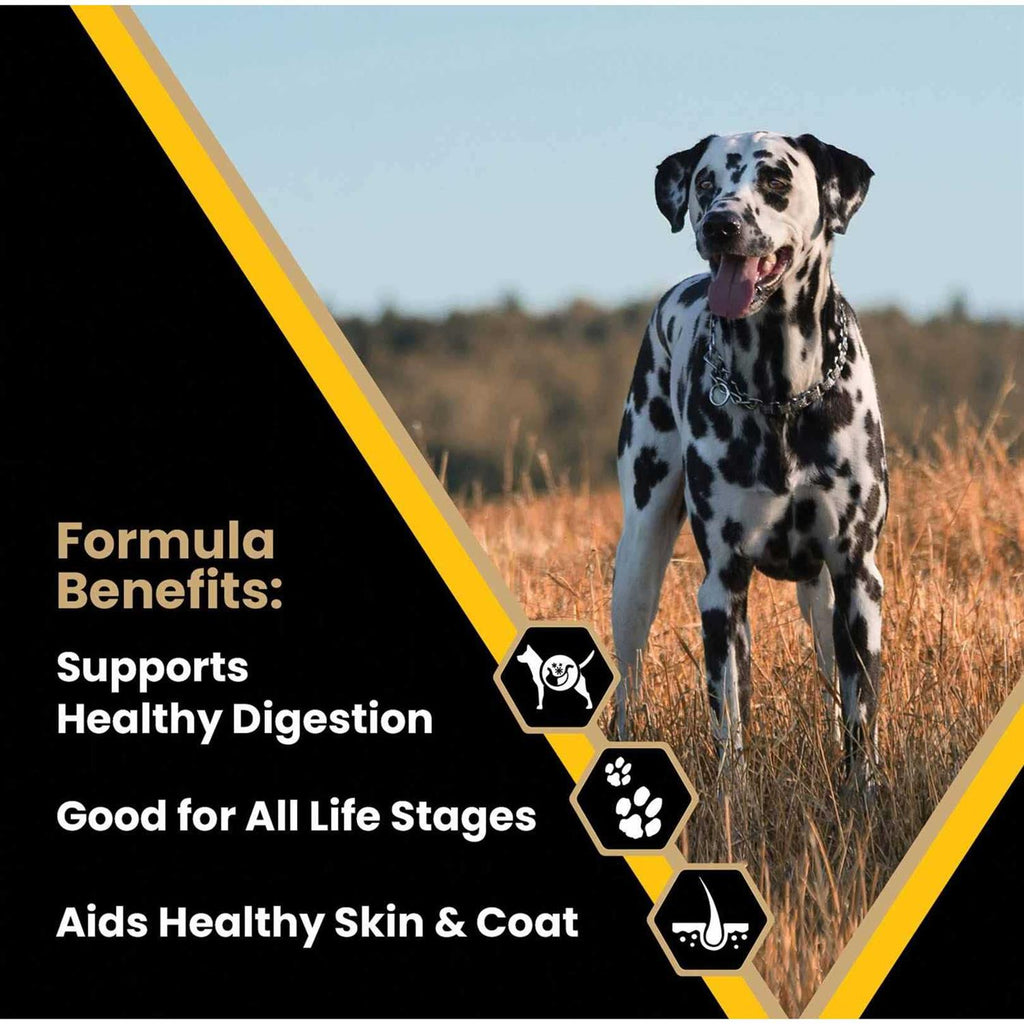 Dog Food U399