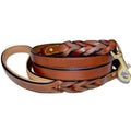 Leather Braided Dog Leash I666