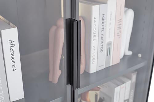 5 Shelves Metal Glass Display Cabinet with Light Strips N2348