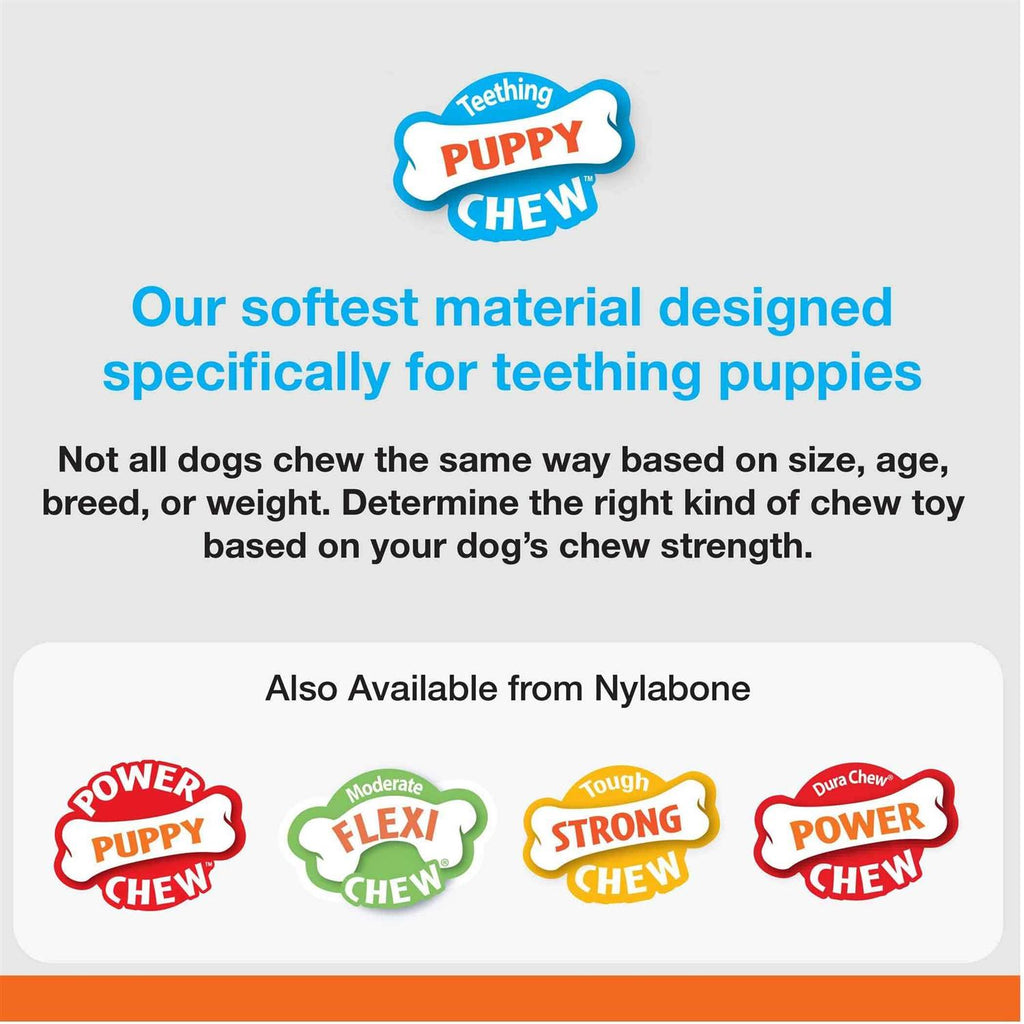 Puppy Chew Teething Keys O147