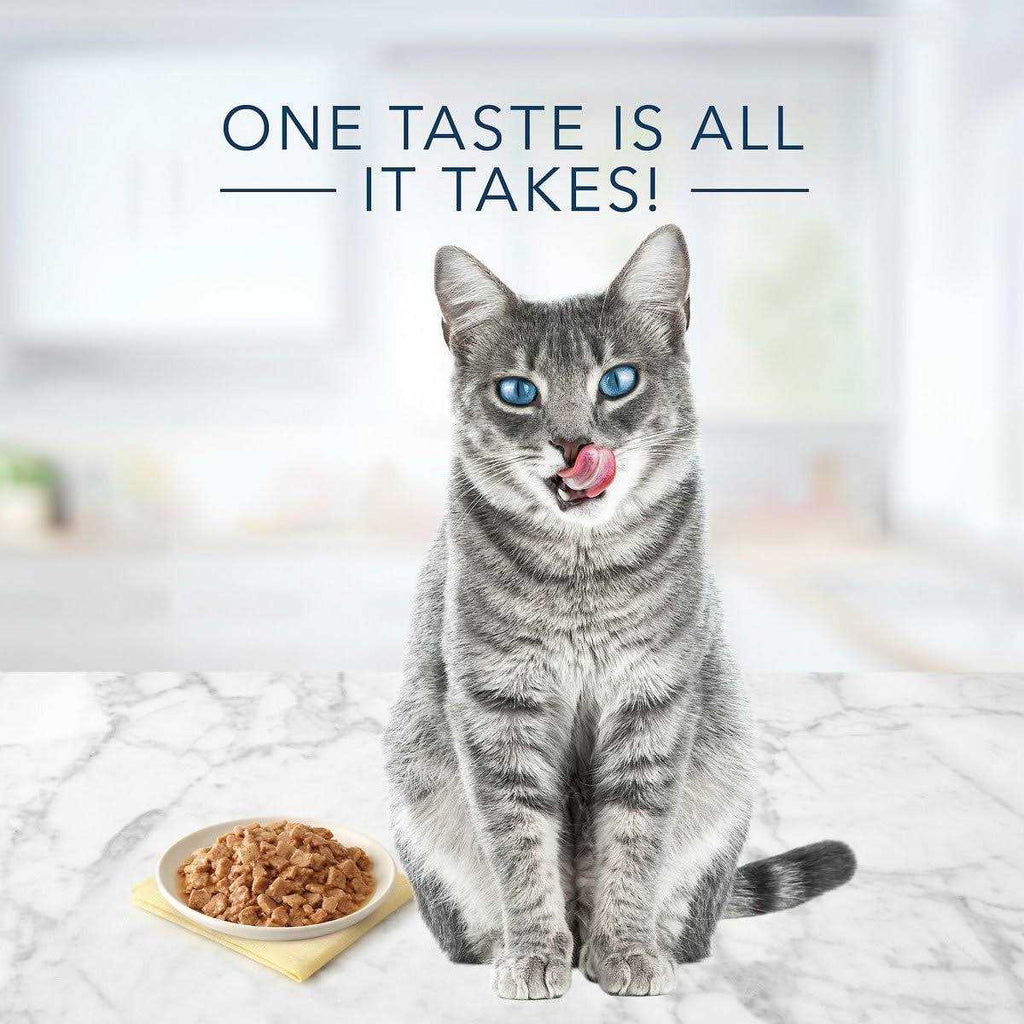 Tuna Chicken Fish & Shrimp Flaked Wet Cat Food C908