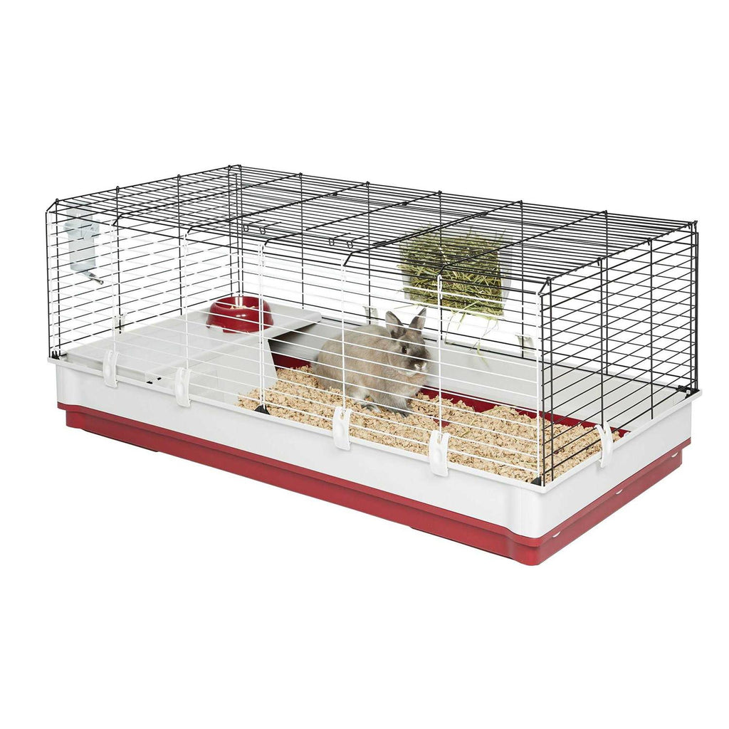 Rabbit Home X6145