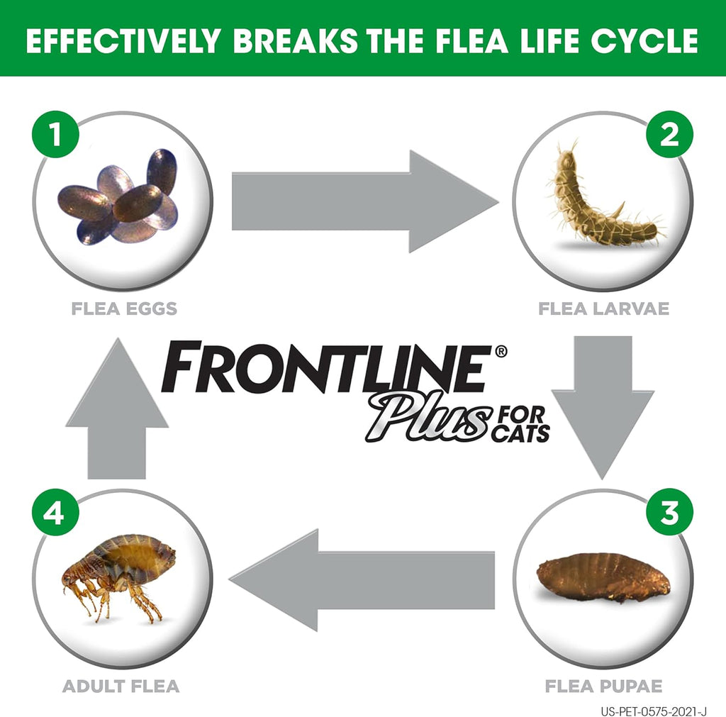 Flea and Tick Treatment for Cats (8 Doses) E422441