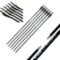 32 inch Carbon Fiber Archery Arrows 12PCS C613