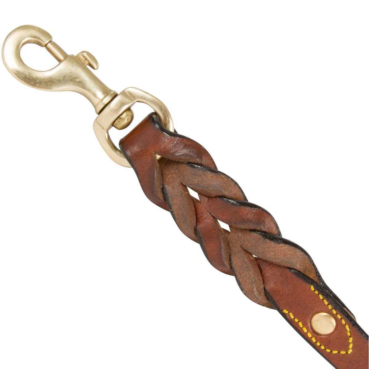 Leather Braided Dog Leash I666