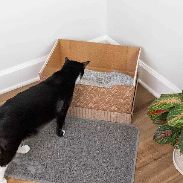Recyclable Cat Litter Box with Clay Litter N87549