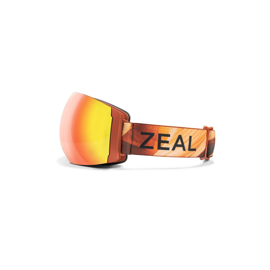 Snow Goggles D168599