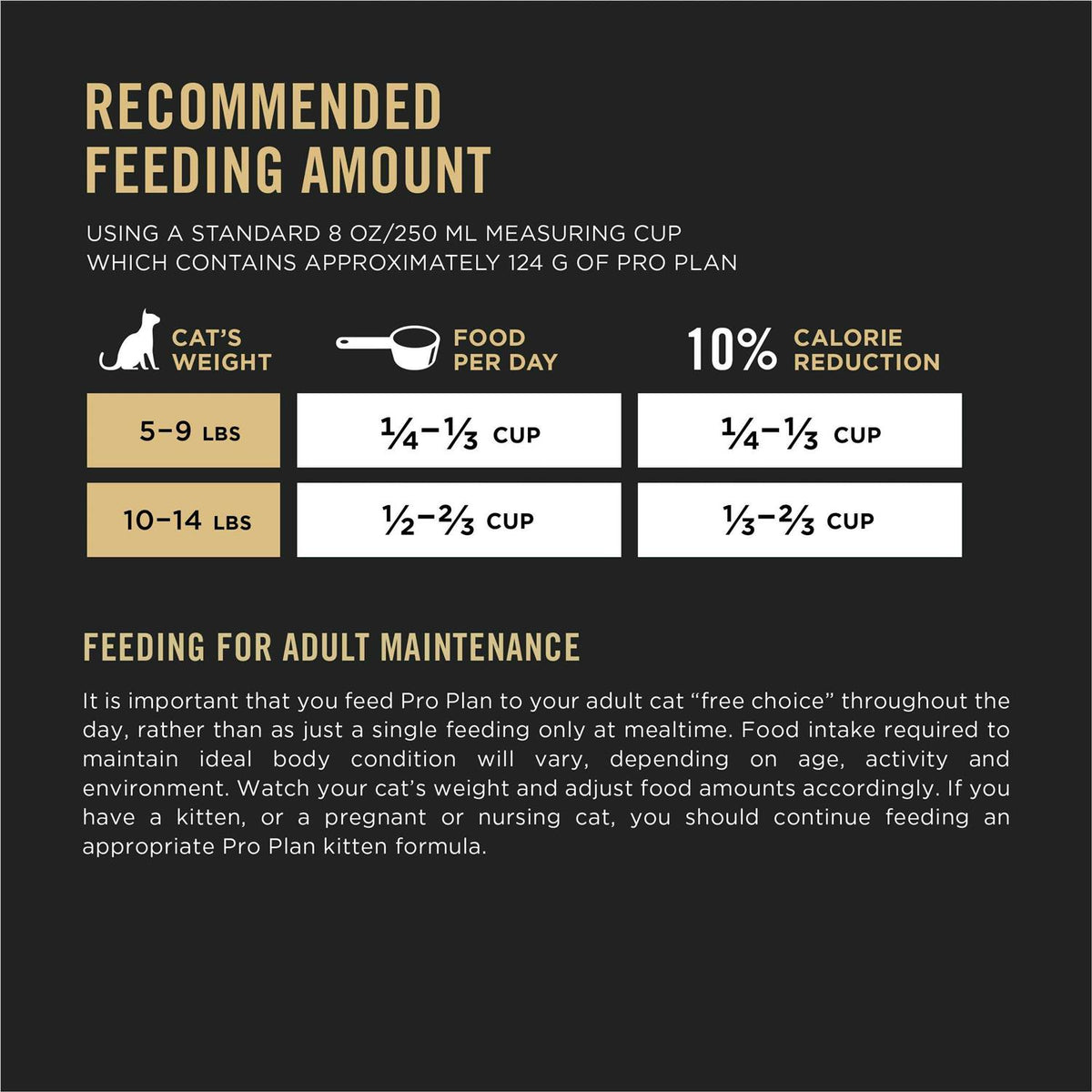 Salmon & Rice Dry Cat Food X478