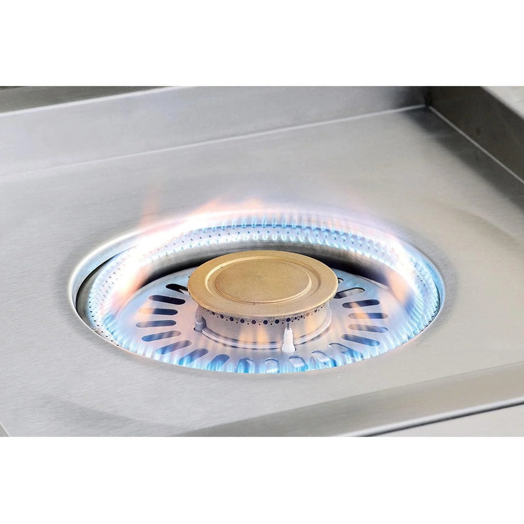24-Inch Propane Gas Cooking System A922984
