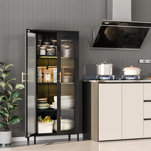 Black 65" Metal Storage Cabinet with Glass Doors and 3 Adjustable Shelves E513265
