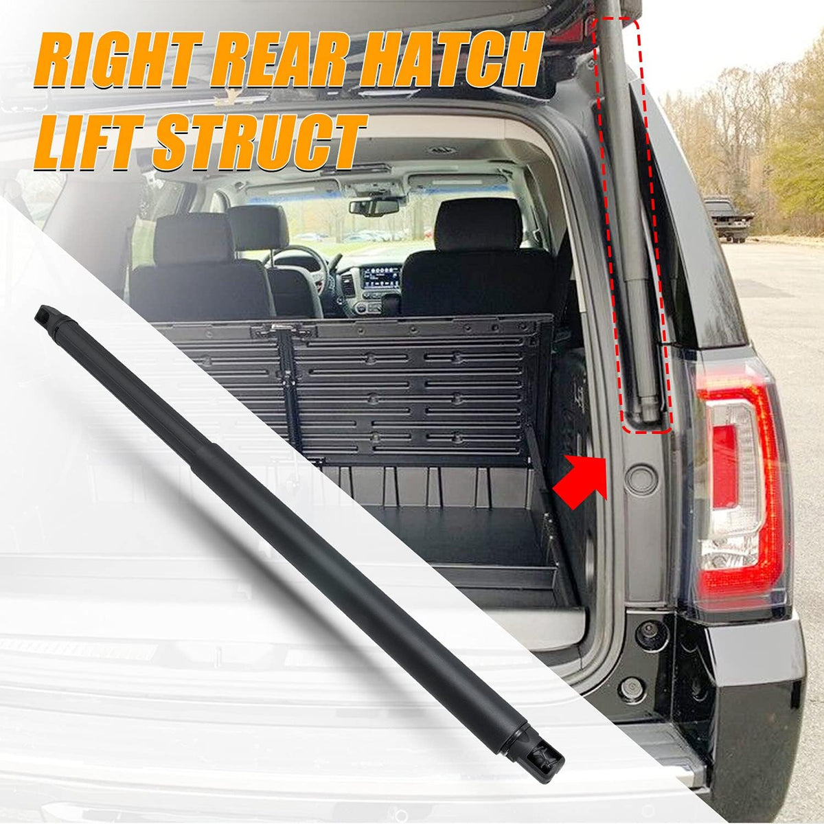 Rear Right Power Lift Support Shock Strut Q370