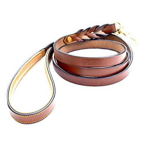 Leather Braided Dog Leash I666