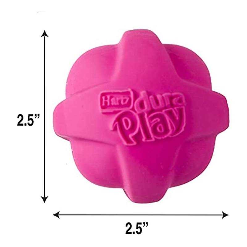 Squeaky Latex Dog Toy P44568