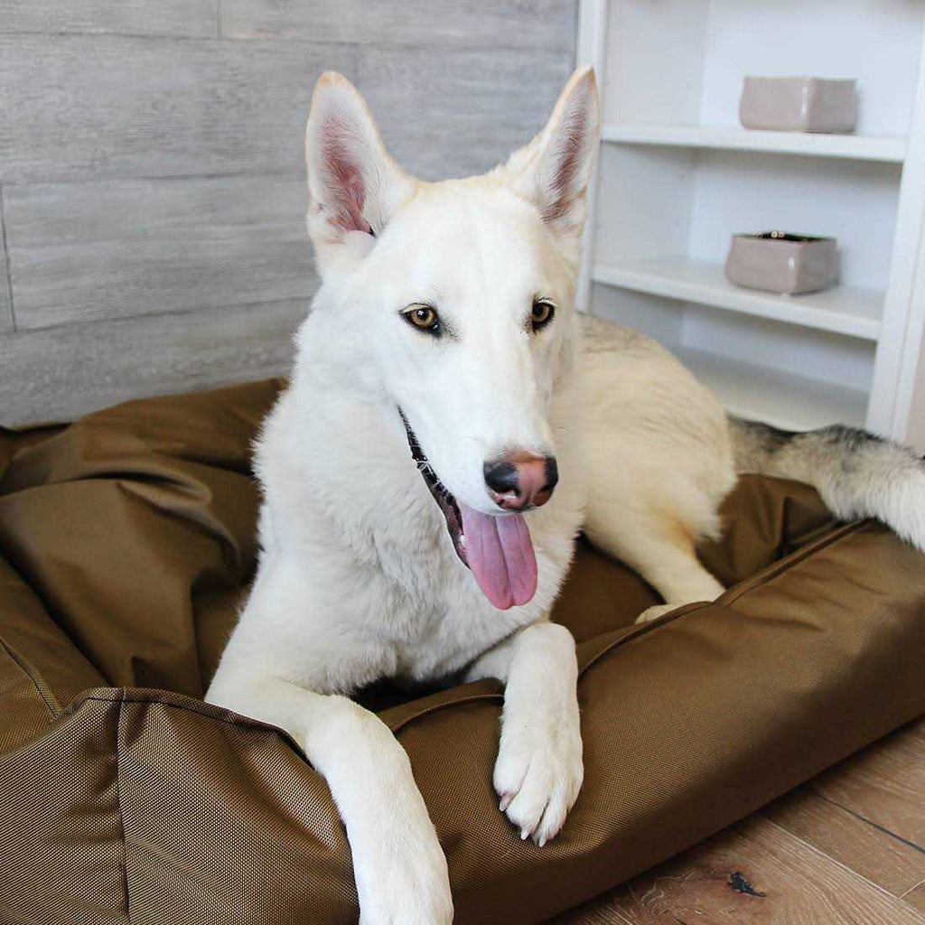 Ballistic Dog Bed H366
