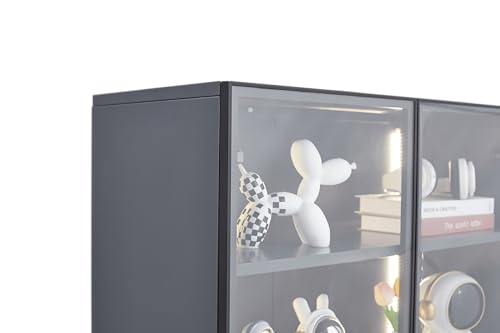 5 Shelves Metal Glass Display Cabinet with Light Strips N2348