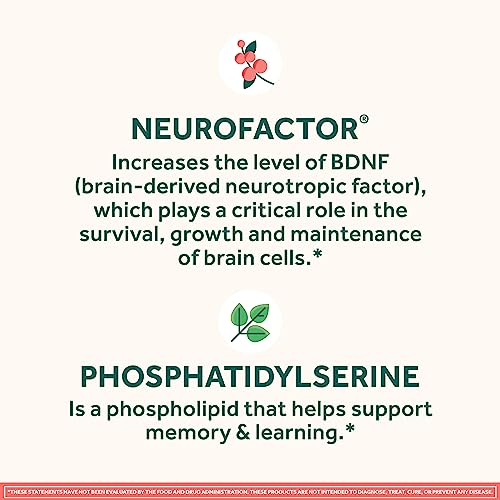 Caffeine-Free Brain Supplement Gummies N4753
