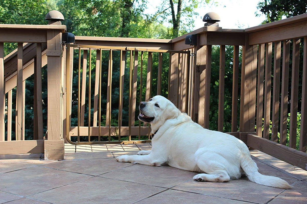 Brown Outdoor Safety Gate C847
