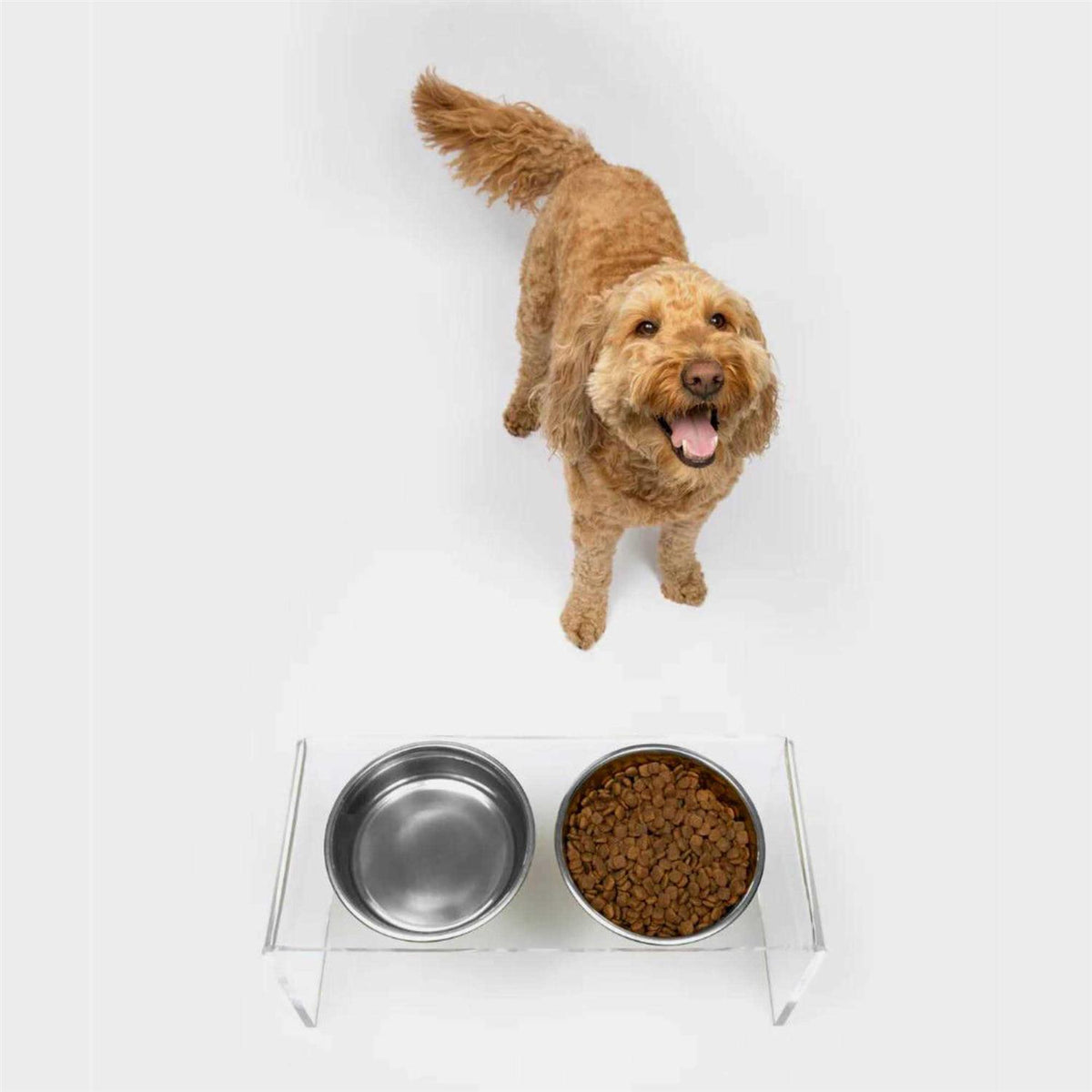 Clear Double Bowl Pet Feeder E31816