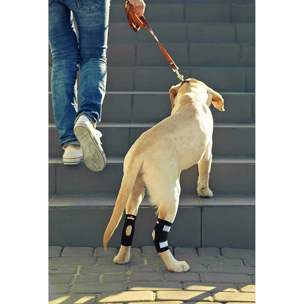 Dog Rear Leg Hock Ankle Support with Reflective Straps E415