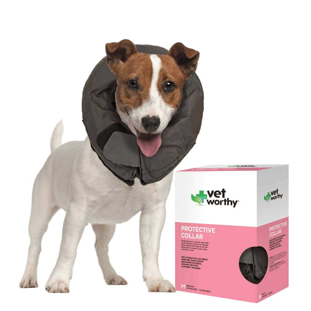 Inflatable Protective Dog Collar D126