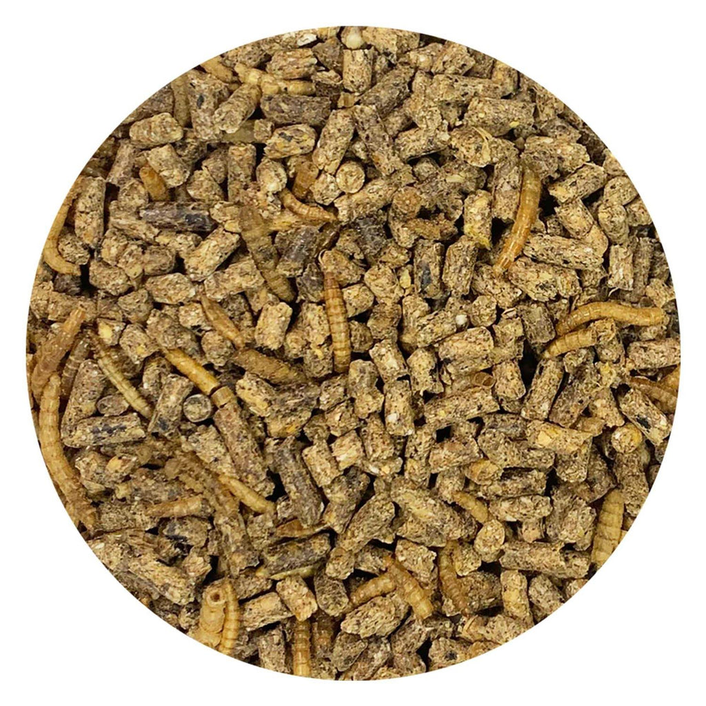 Complete Hedgehog Food O2694