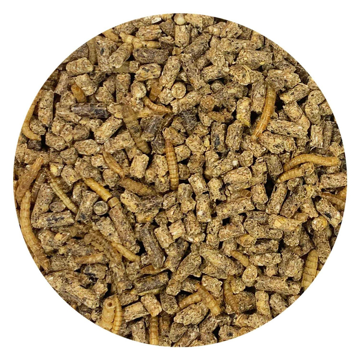 Complete Hedgehog Food O2694