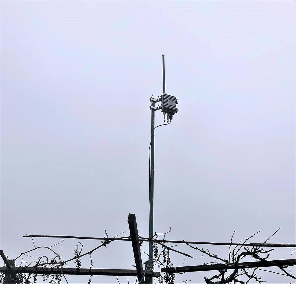 Gray Fiberglass LoRaWAN Antenna Pack of 2 V154