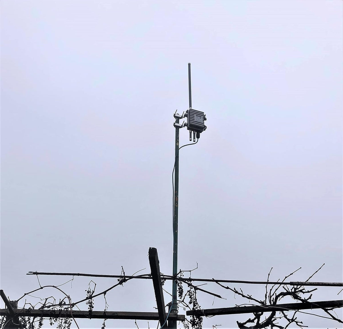 Gray Fiberglass LoRaWAN Antenna Pack of 2 V154