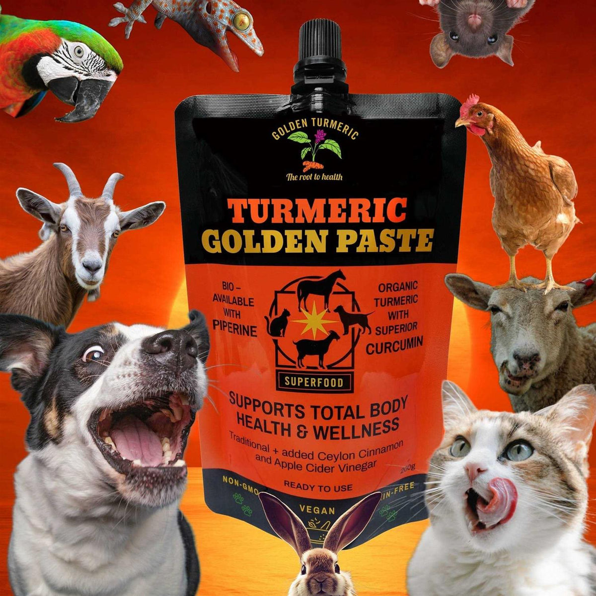 Turmeric Golden Paste for Pets 7 OZ W952