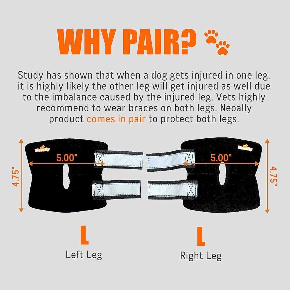 Dog Rear Leg Hock Ankle Support with Reflective Straps E415