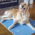 Cool Pet Pad D77197