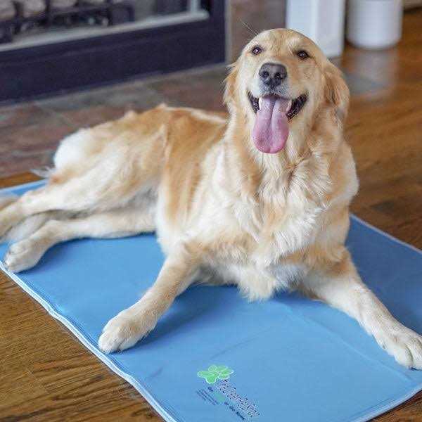 Cool Pet Pad D77197