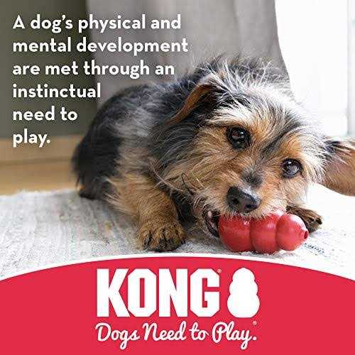 Dog Toy B318345