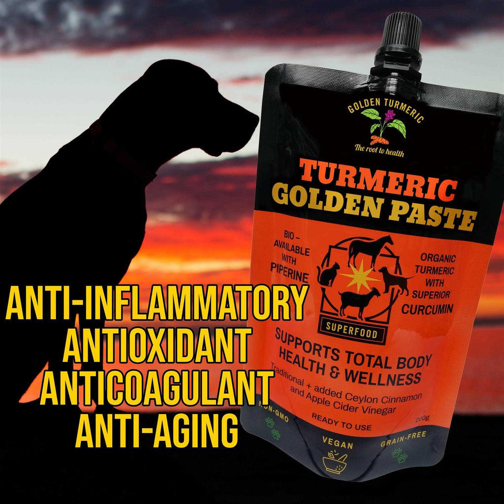 Turmeric Golden Paste for Pets 7 OZ W952