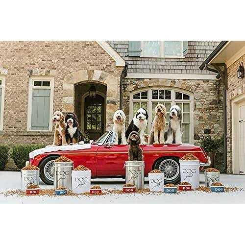 Classic Dog Food Storage Canister S976