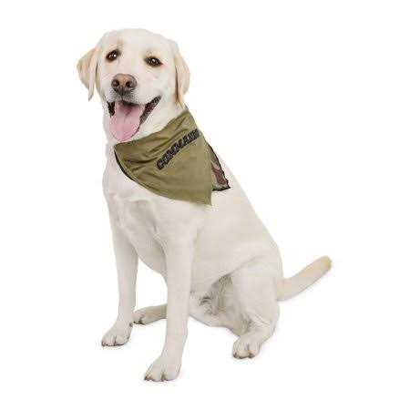 Small Animal Litter Pan Y271