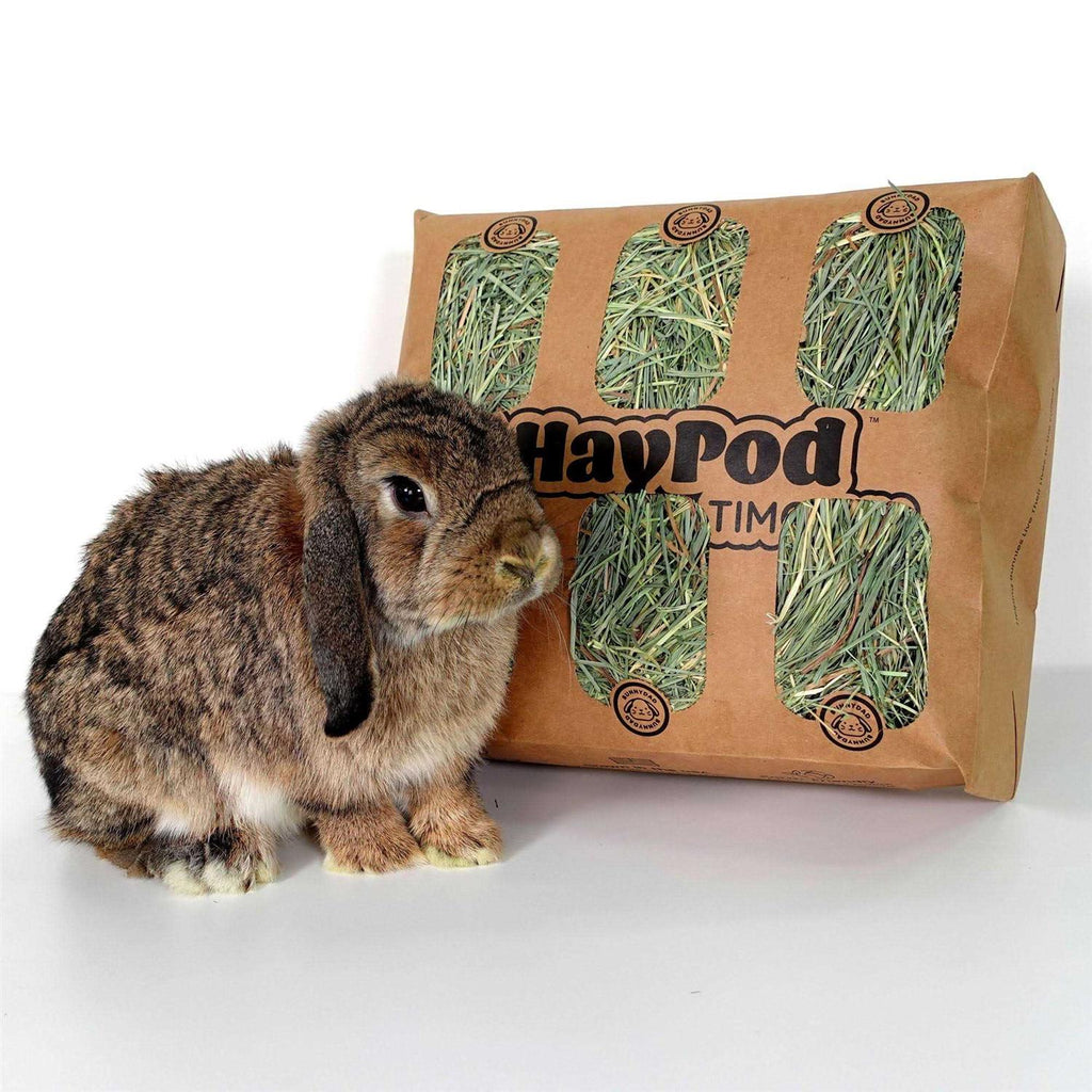 Timothy Hay for Guinea Pigs Rabbits D204