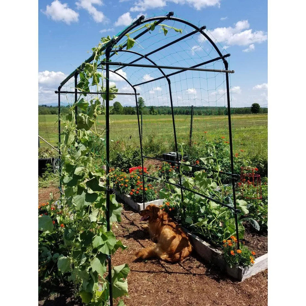Lightweight Metal Garden Trellis F539964