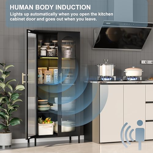 Black 65" Metal Storage Cabinet with Glass Doors and 3 Adjustable Shelves E513265