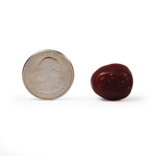Caffeine-Free Brain Supplement Gummies N4753