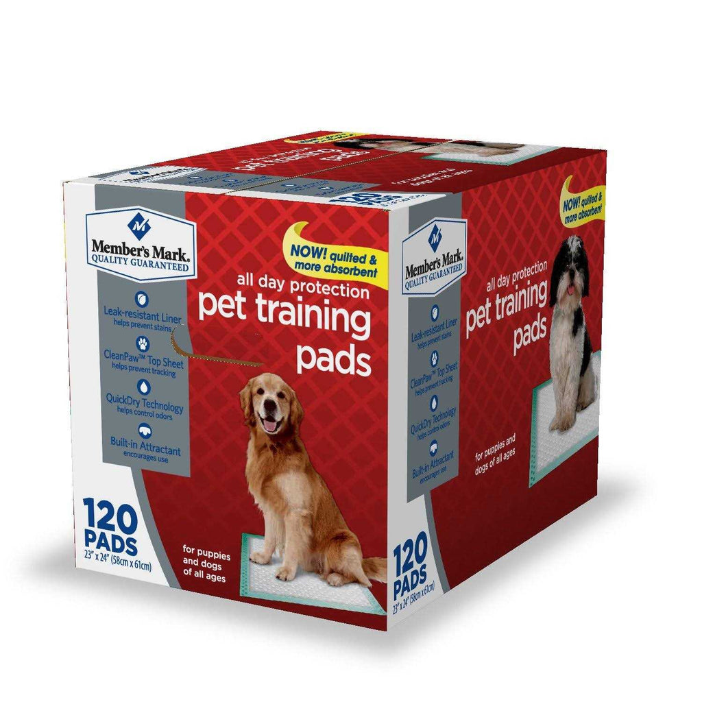 Pet Training Pads B994599