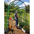 Lightweight Metal Garden Trellis F539964