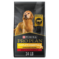 Complete Beef Adult Dry Dog Food H629787