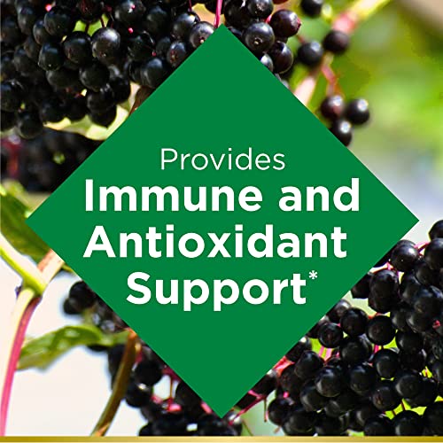 Elderberry Gummies Dietary Supplement, 100 mg, 120 Gummies W56313