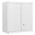Metal Wall Cabinet with Doors and Adjustable Shelf Y511897