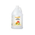 1 Gallon Alcohol Free Foam Hand Sanitizer S12486