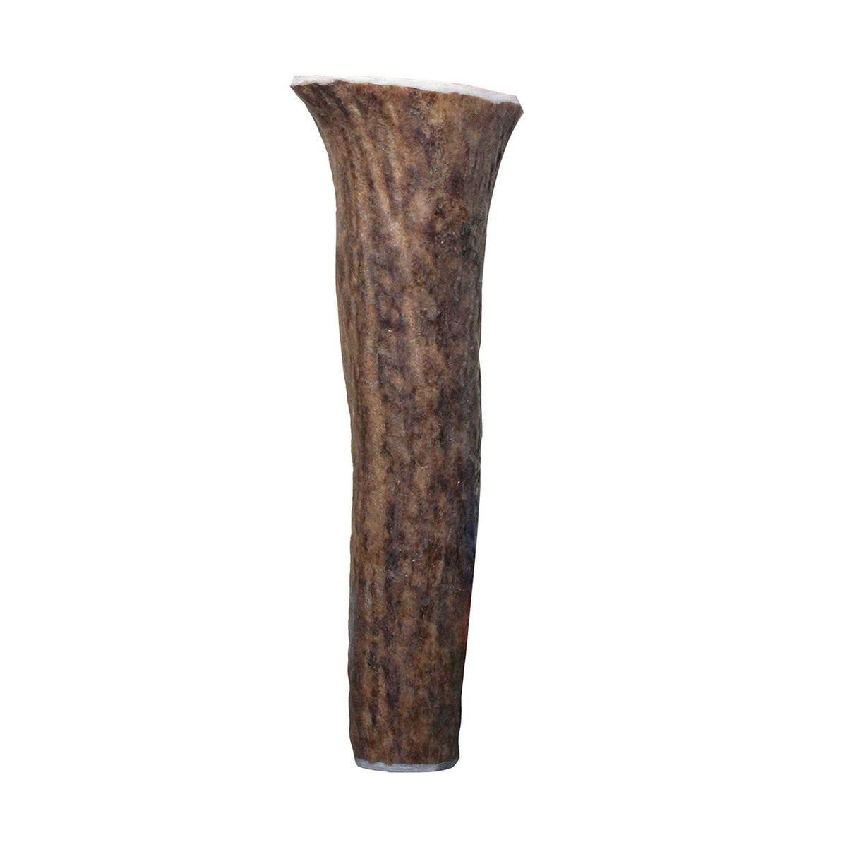 Whole Wild Elk Antler G283783