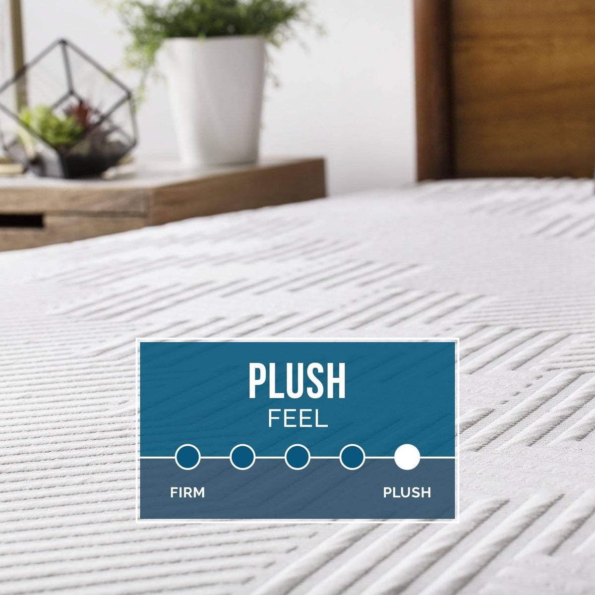 Queen Plush Gel Memory Foam Mattress F188